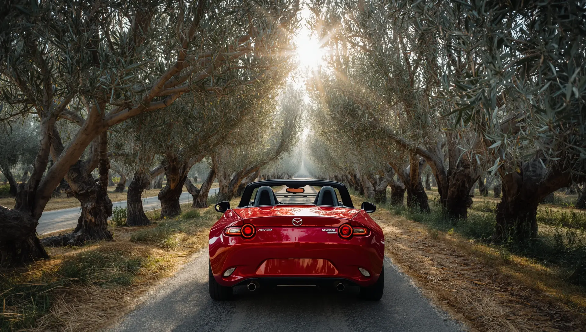 Convertible Car Rental Crete